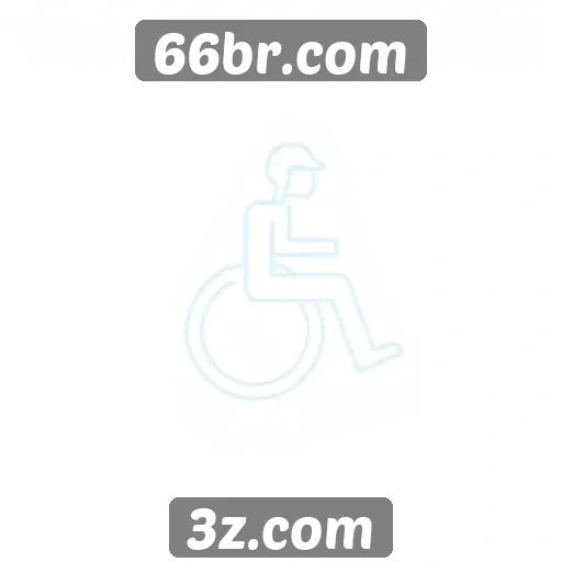 Acessibilidade e funcionalidades no site 66br.com